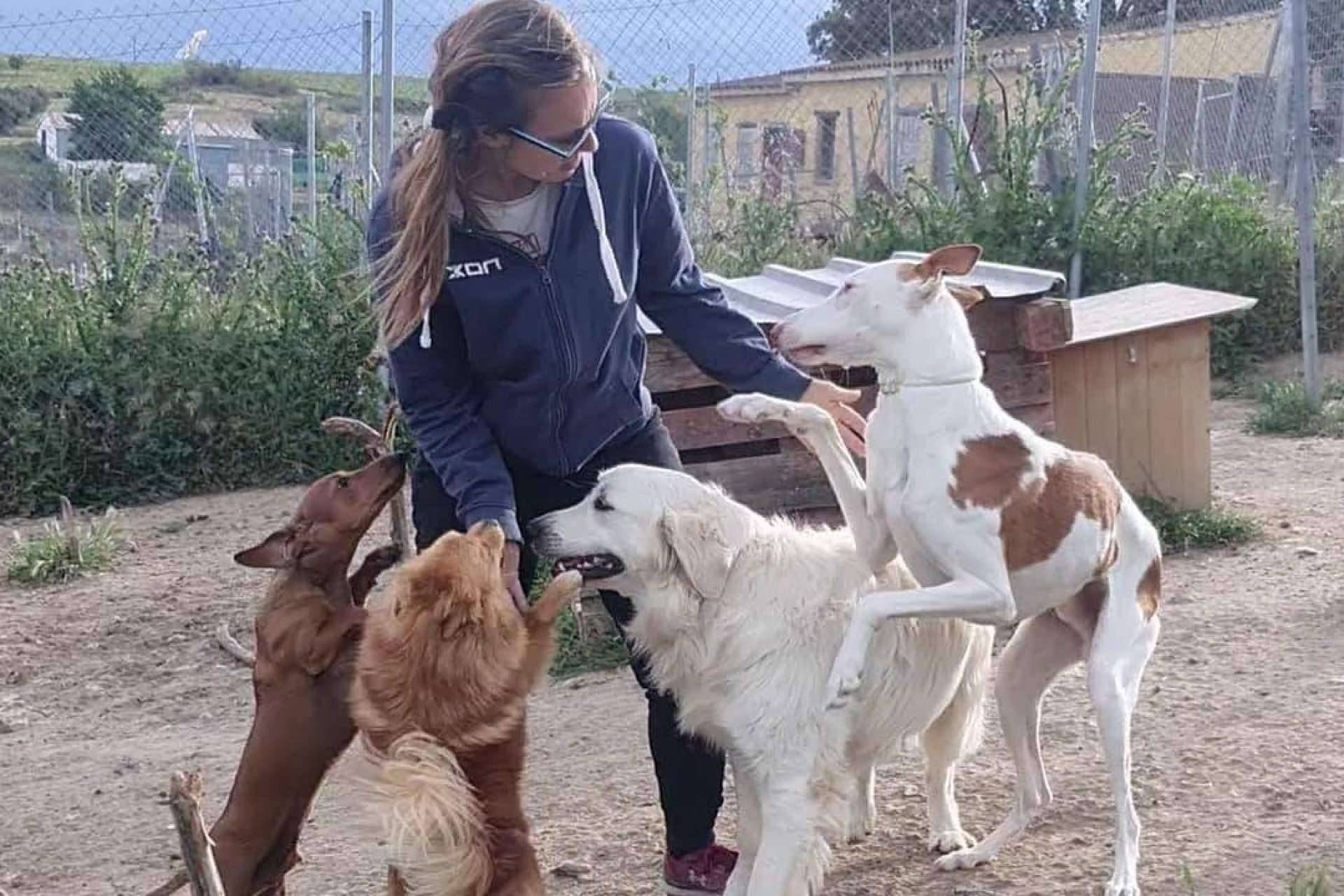 La guardería para perros que se centra en hacerlos felices, PERROBUENO