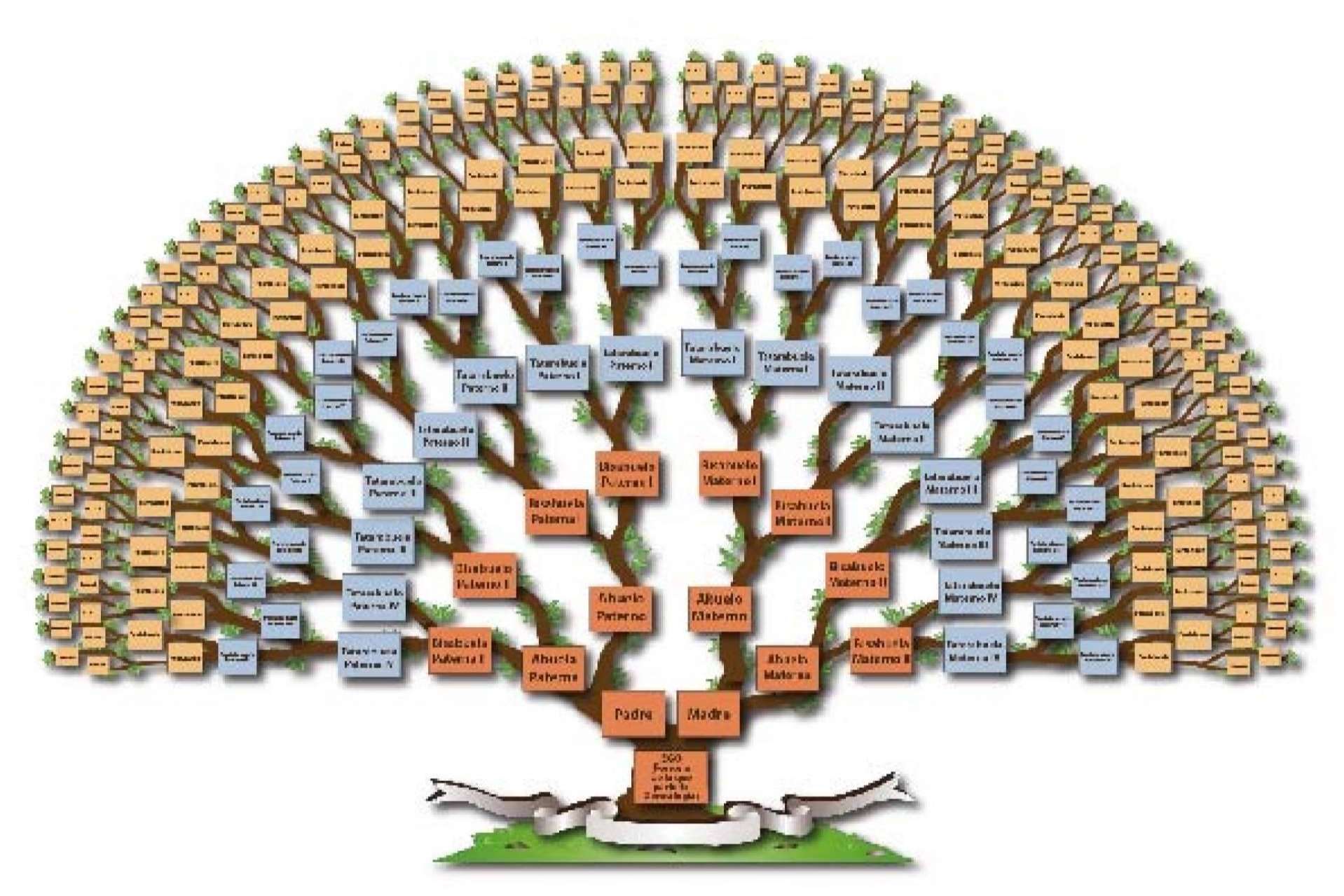 El Instituto de Historia Familiar ofrece servicios de investigación familiar y genealogía profesional