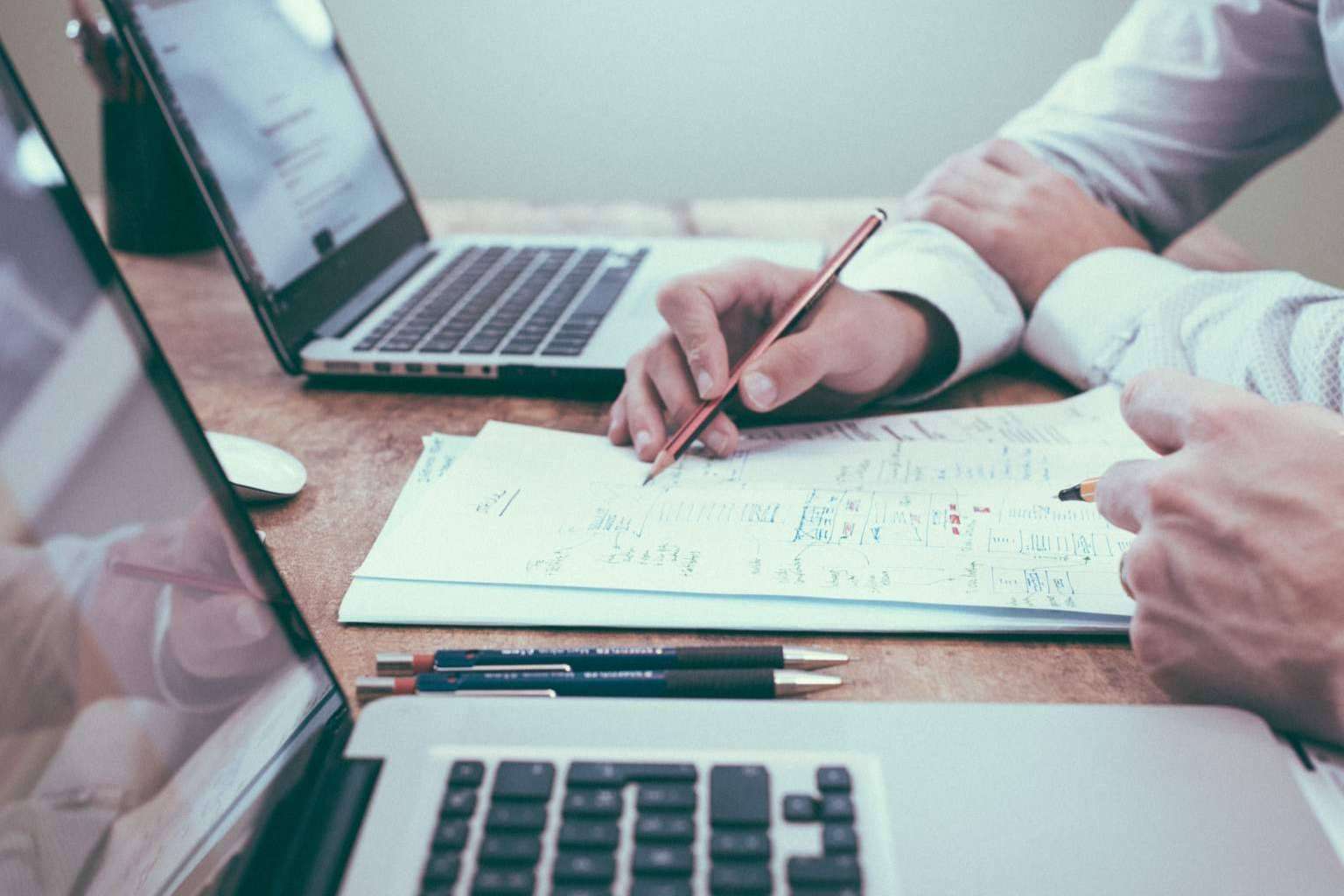 La agencia de marketing digital Hippo & Perrins ayuda a las empresas con presupuestos bajos a vender más en internet