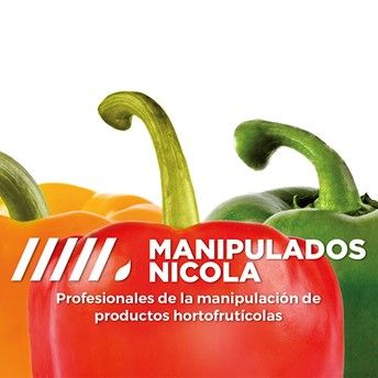 MANIPULADOS NICOLA mantiene su crecimiento y reafirma su colaboración con la consultoría de empresas CEDEC