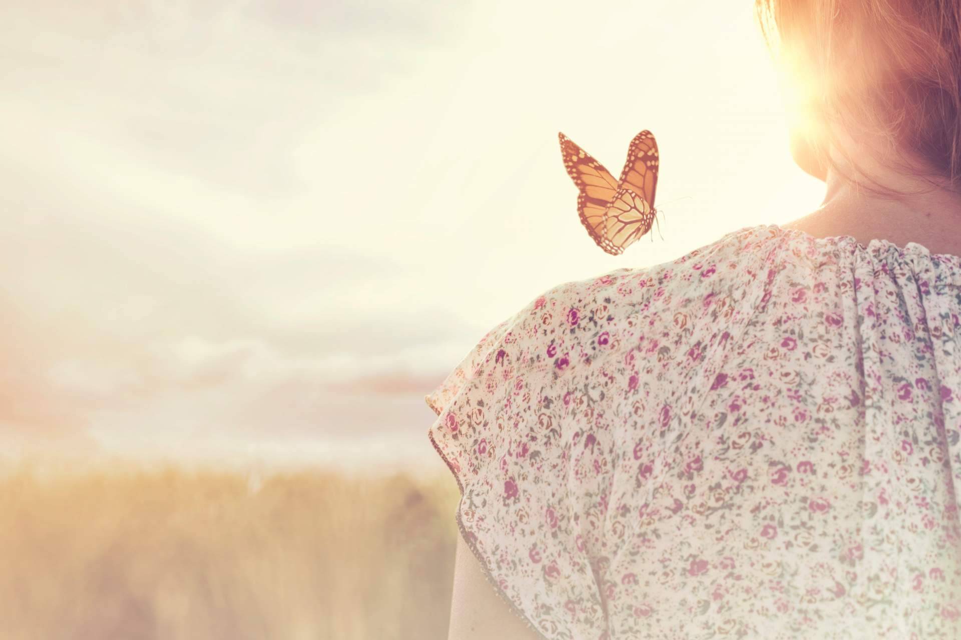 Participar en los cursos online de mindfulness de Psicosoluciones Burgos