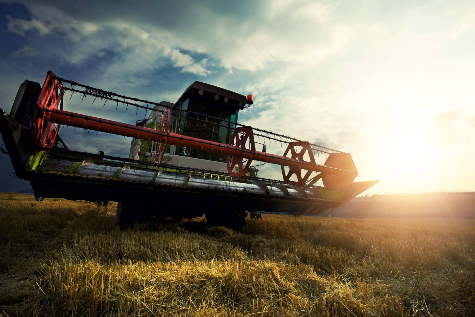 Agbar Agriculture proporciona soluciones agrícolas y asesoramiento técnico para la gestión de cultivos de alto valor como el olivo