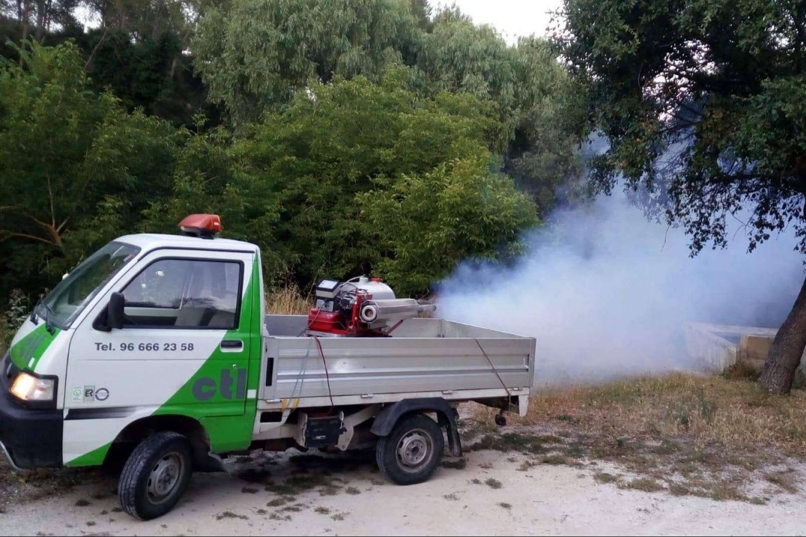 Tratamientos contra las plagas ocasionadas por las lluvias en Castellón