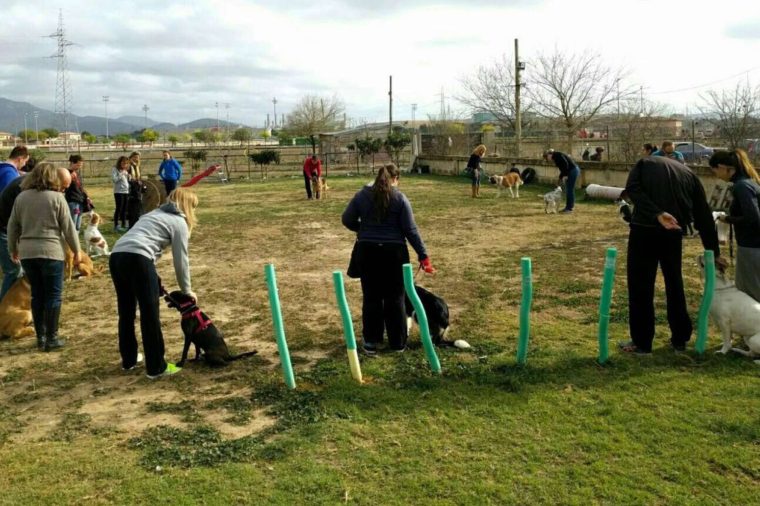Mejorar la relación entre perros y humanos con el adiestramiento canino, de la mano de la Asociación Española de Perros de Apoyo