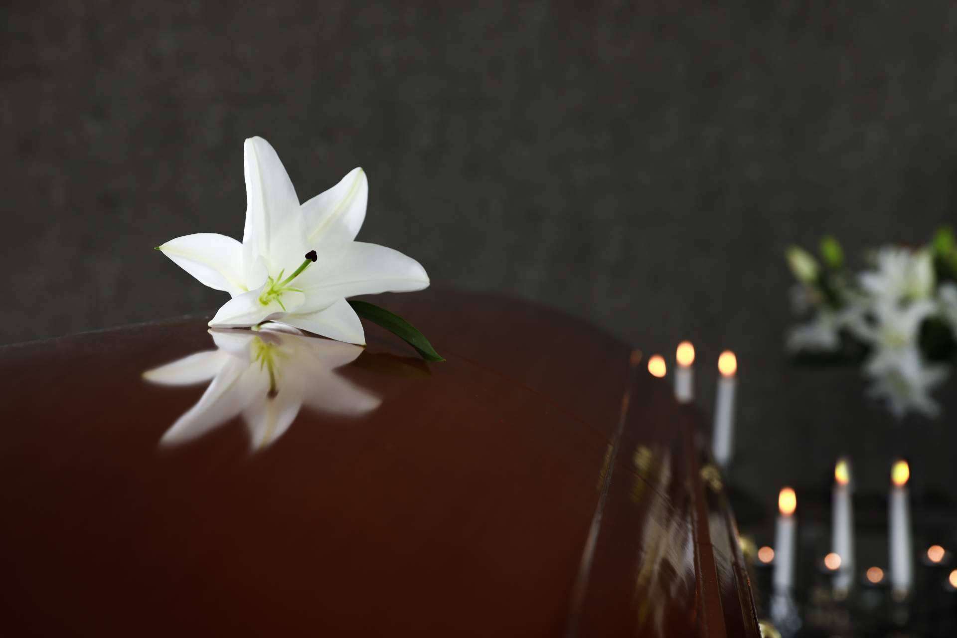 ¿Cuál es el buscador de tanatorios y funerarias?, por Tanatorio en Pamplona