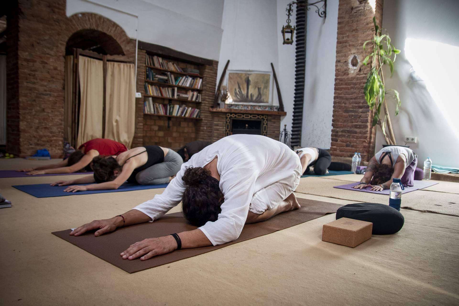 Ofertas limitadas para julio y agosto de 2022, formación intensiva de Yoga y Meditación en Hatha Tradicional