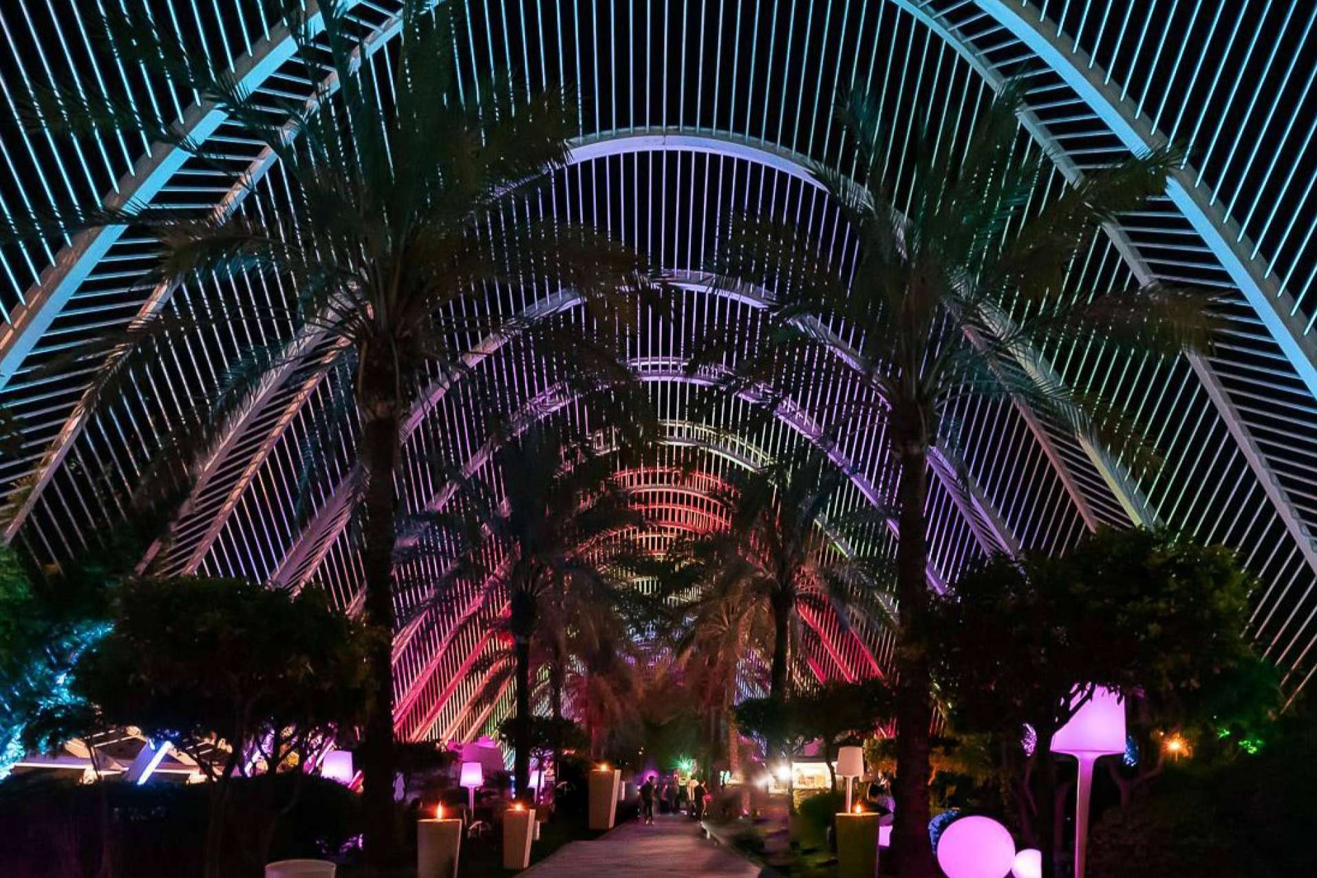 Algunas de las mejores discotecas en Valencia según la plataforma virtual Spain Club Promoter