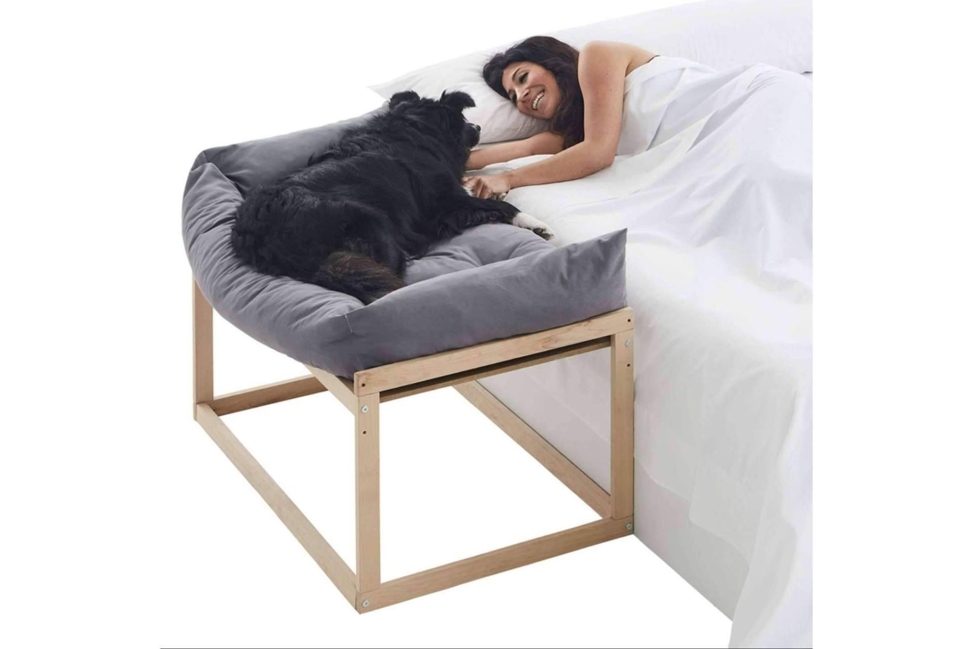 Cool-Dreams y sus camas colecho para perros