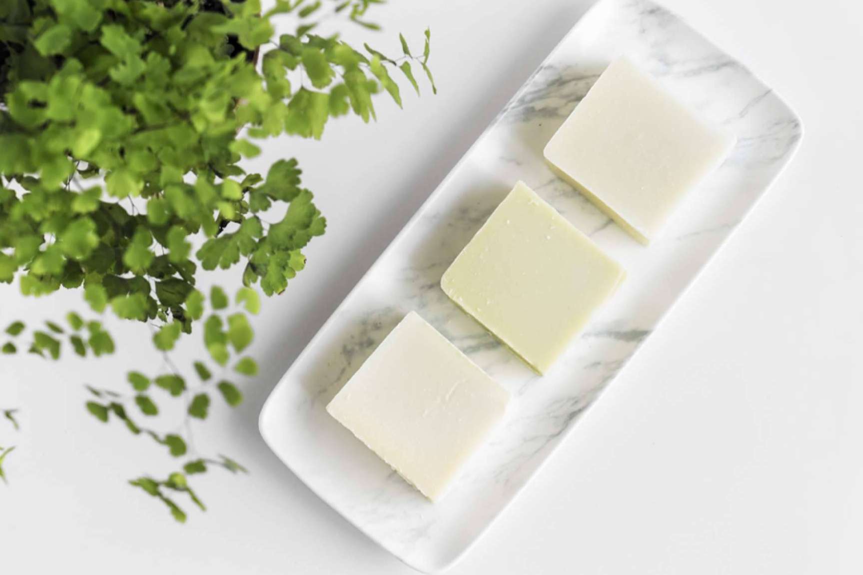 Productos israelíes orgánicos, de la mano de MMBS Import & Export