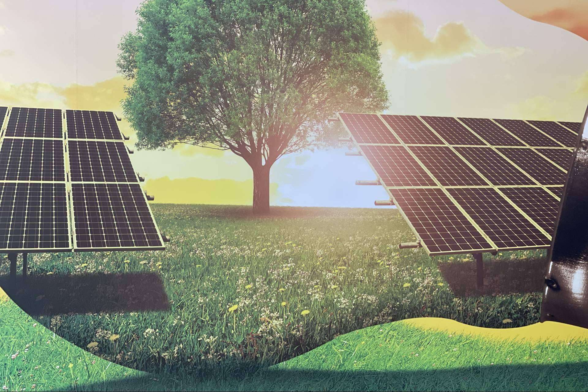 Sereco Energía ofrece ayudas y subvenciones para la instalación de placas solares