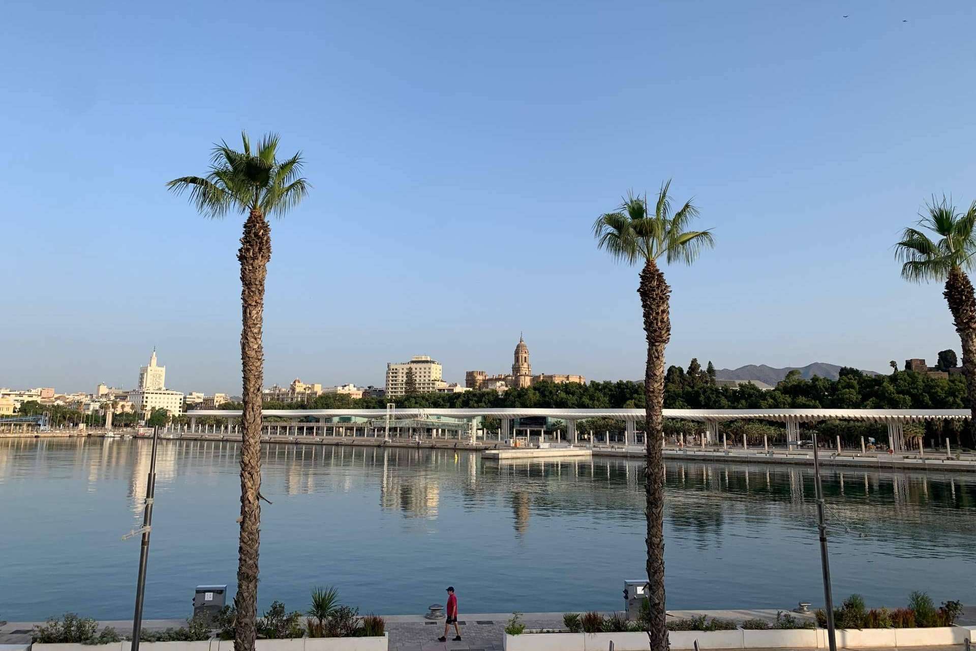 El apoyo a emprendedores a través de un marketplace, Made in Málaga