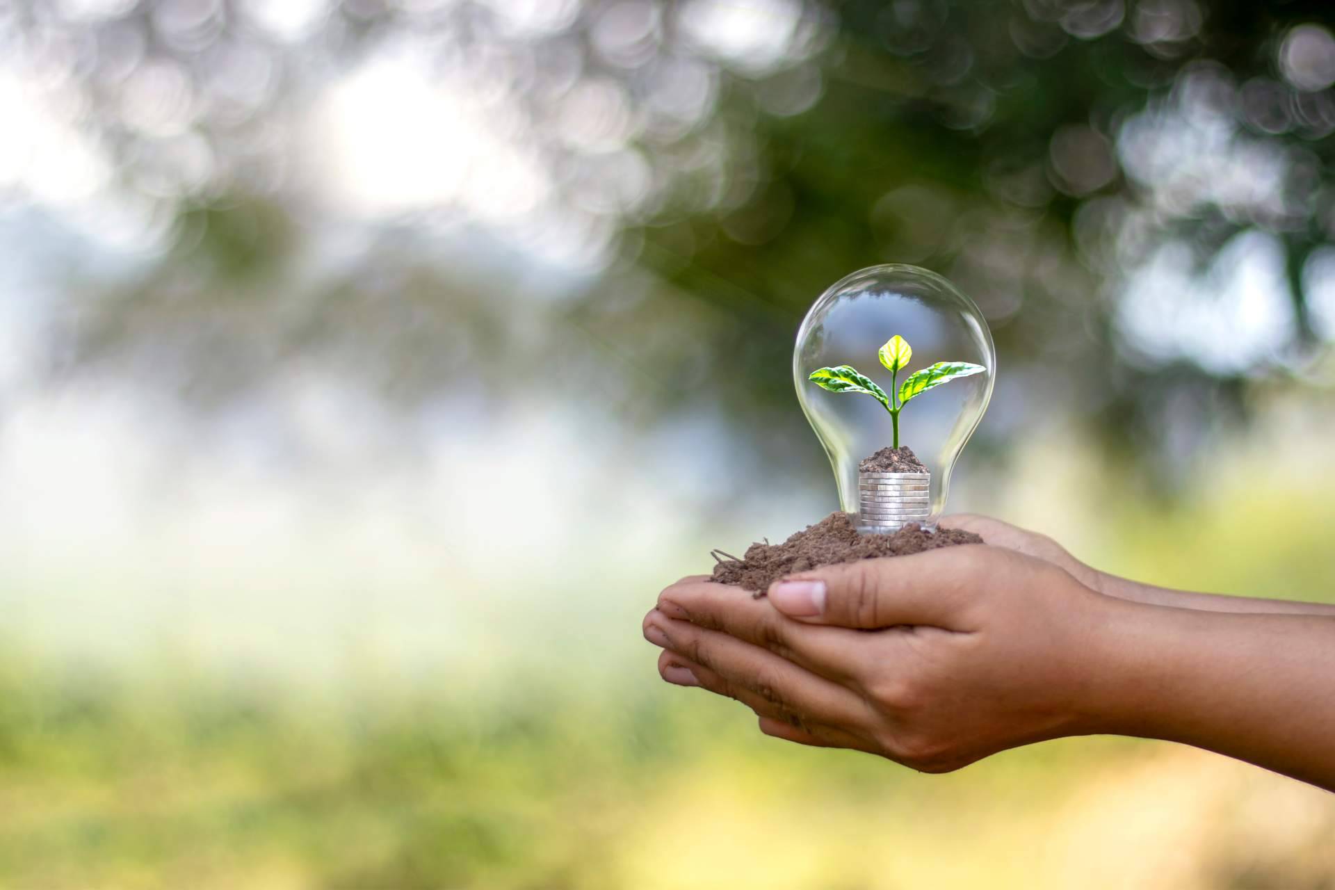 El bombeo solar aislado para piscinas de hoteles y complejos, una solución efectiva de Ingeniería MASRED para reducir el consumo energético durante el verano