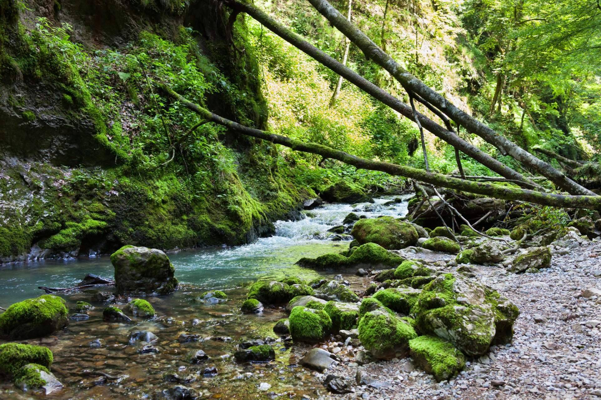 WellWo tiene un programa de salud medioambiental para crear conciencia de cómo cuidar el planeta
