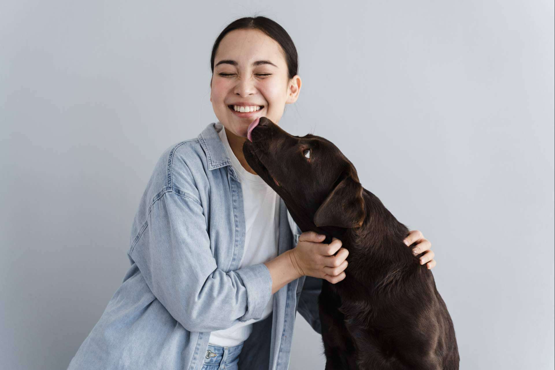 ¿Cuándo es buen momento para adoptar un perro?