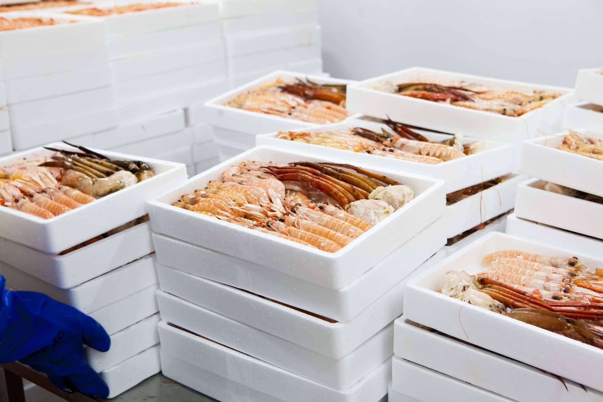 Pescado de calidad y marisco congelado, importado de la mano de Mariscos Apolo