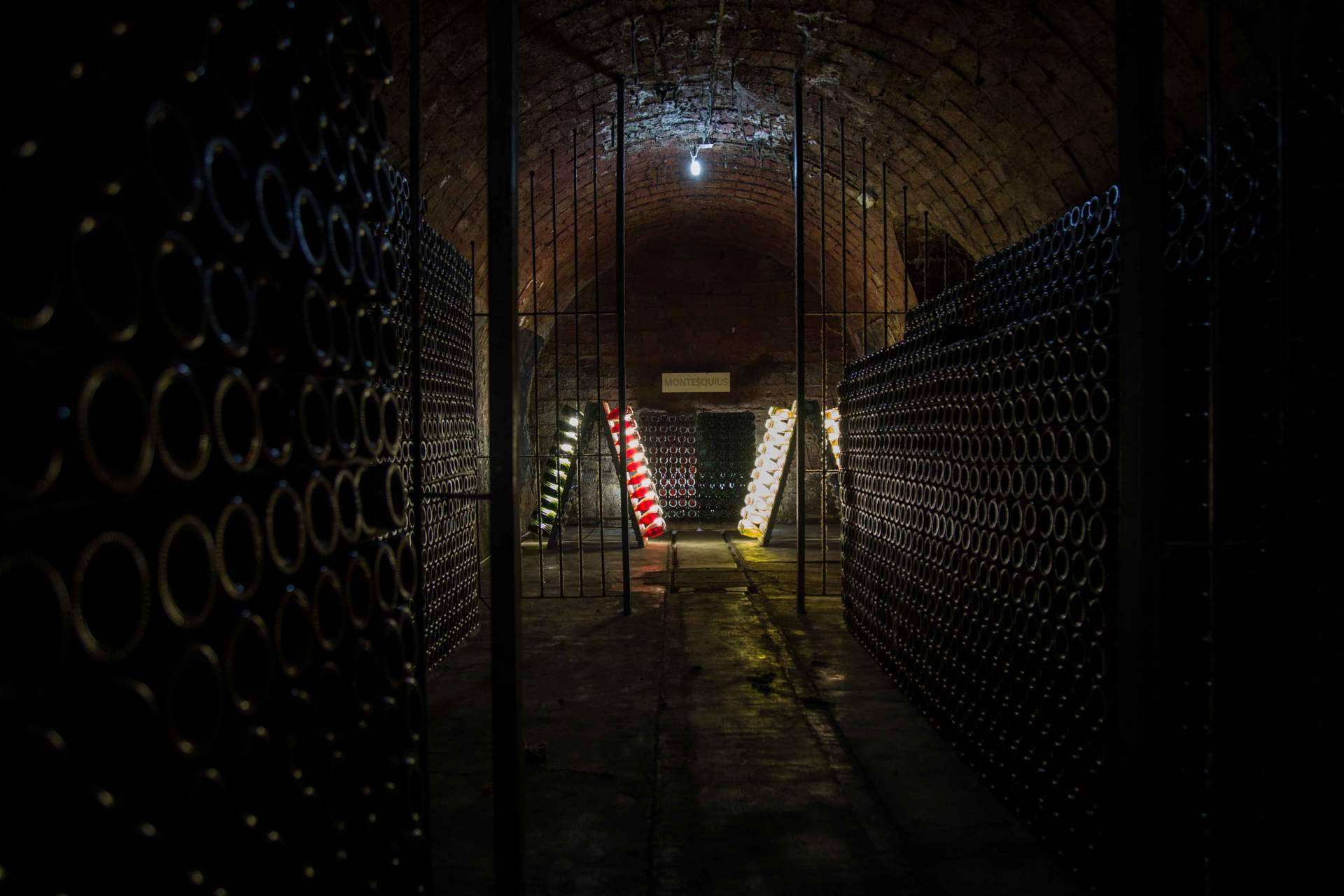 Regalar enoturismo con las catas de vinos de Natureloverswines