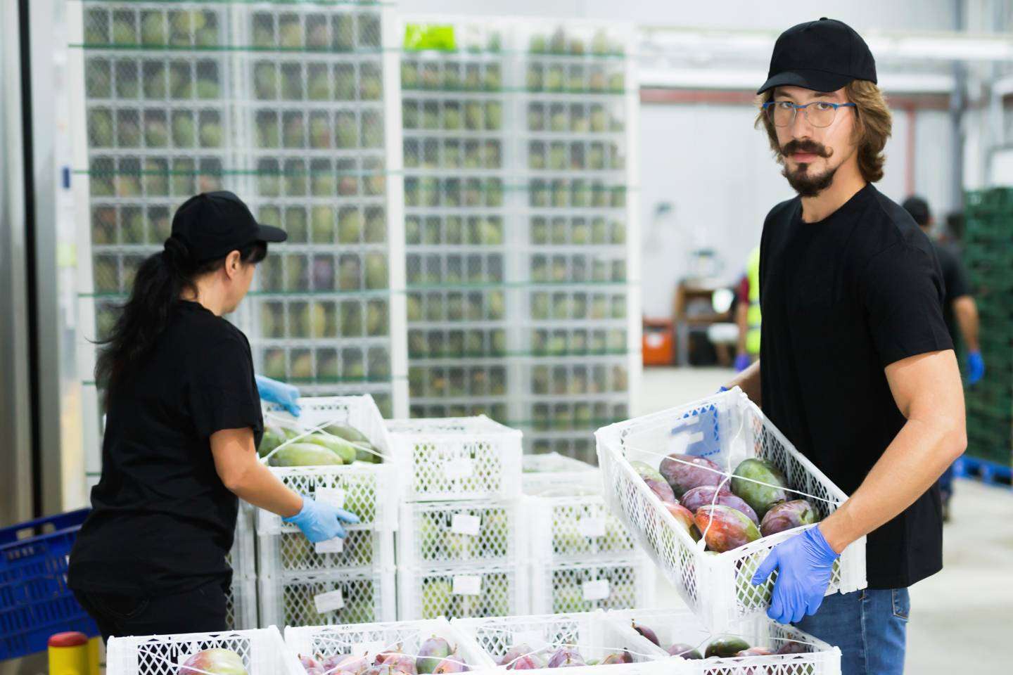 El soporte de Piola a los proveedores y distribuidores del canal HORECA para digitalizar sus procesos mediante el Kit Digital