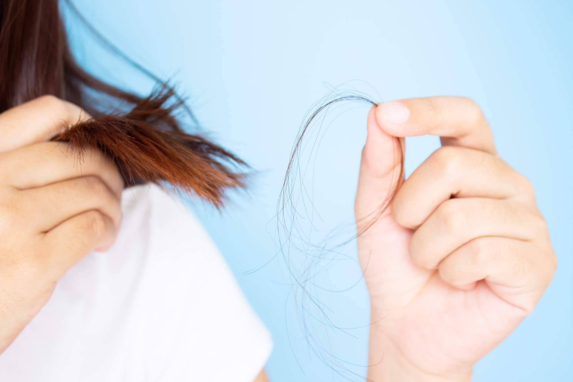 Bibefy sobre las principales razones de la caída del cabello en otoño