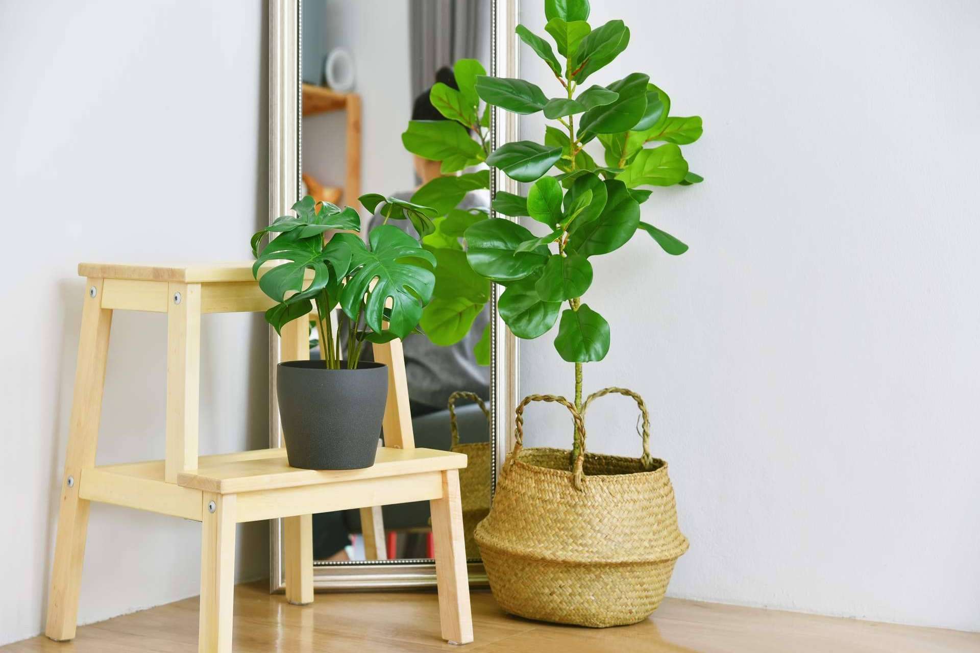 La combinación de plantas artificiales para dar un toque especial a cualquier espacio