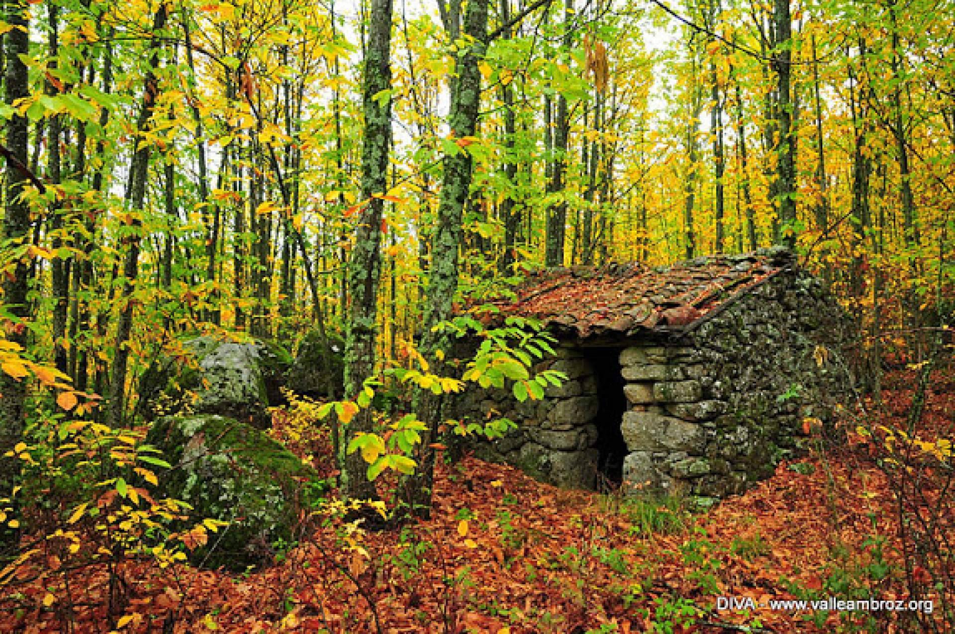 Celebrar el Otoño Mágico en Vive Baños de Montemayor