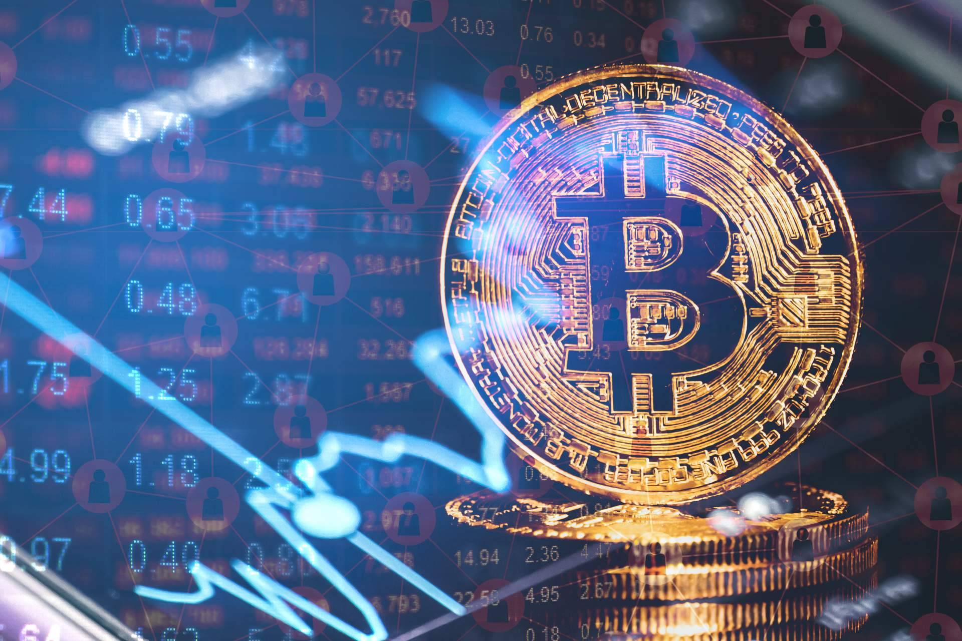 La necesidad de tener un asesor para temas relacionados con criptomonedas