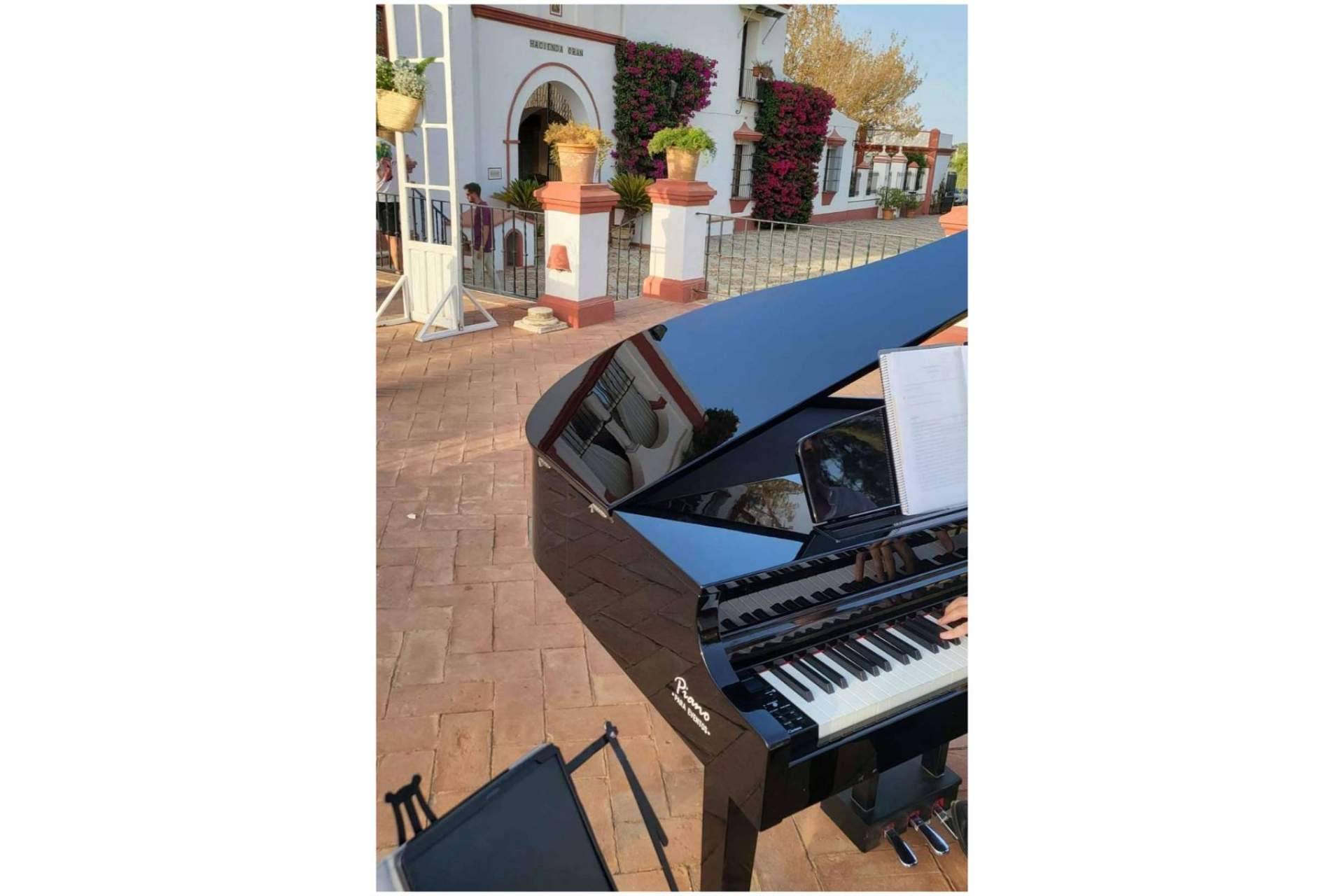 Playlist de música piano del pianista Carlos López Arregui en Piano Para Eventos