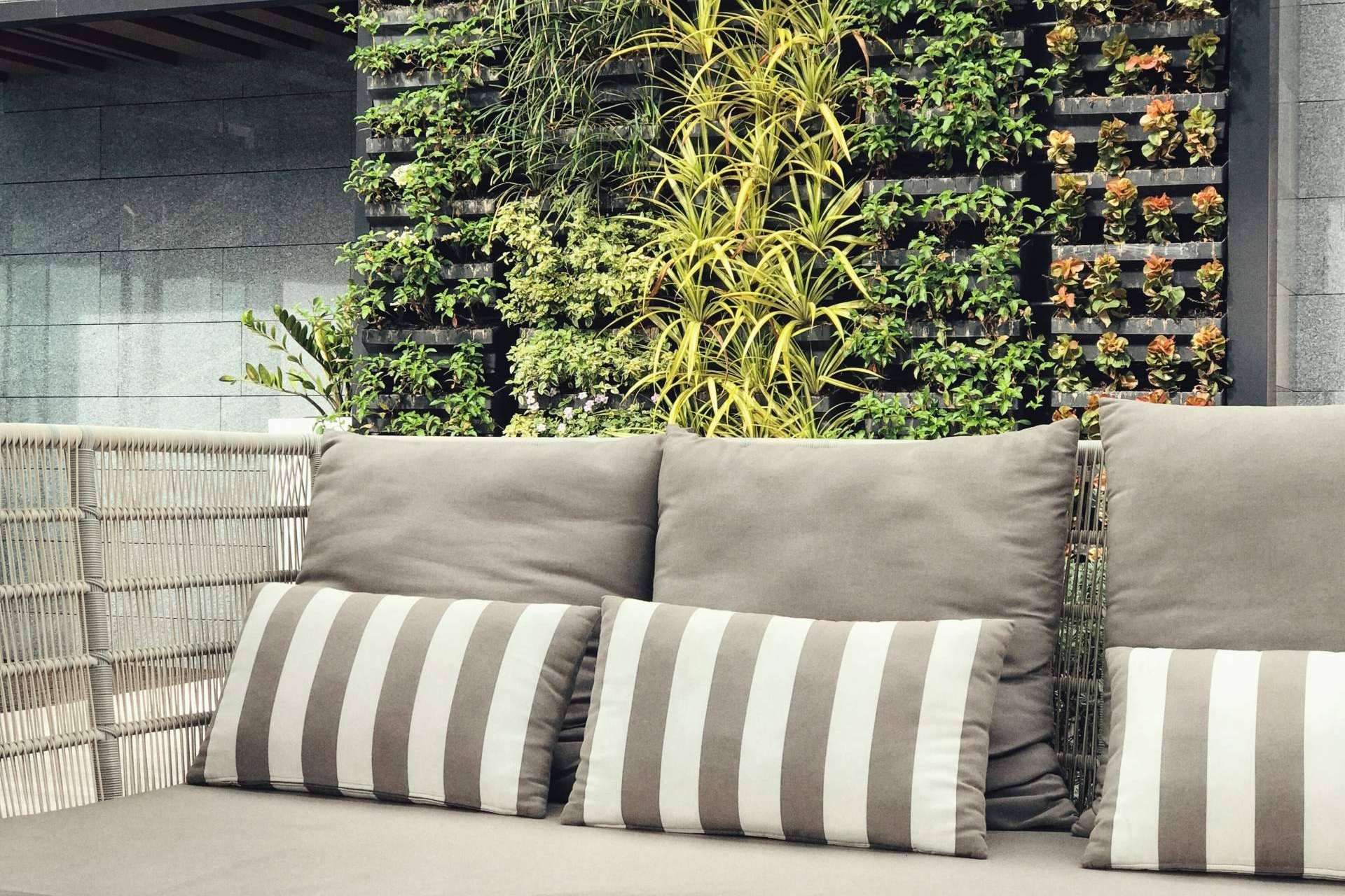Las ofertas del Black Friday 2022 en césped artificial y jardín vertical disponibles en JardinVertical.es