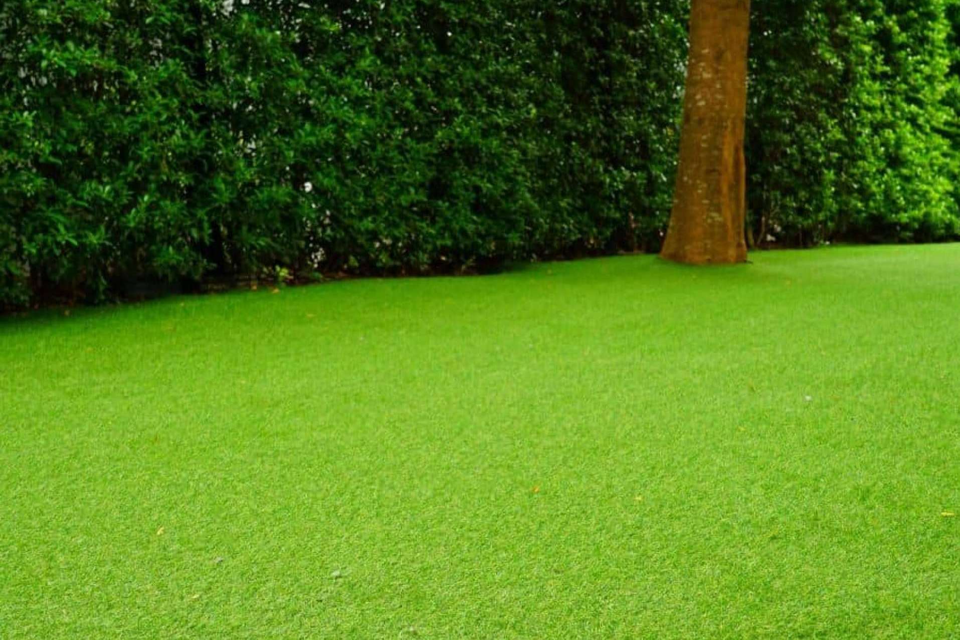 Albergrass ofrece 5 trucos infalibles para instalar el césped artificial