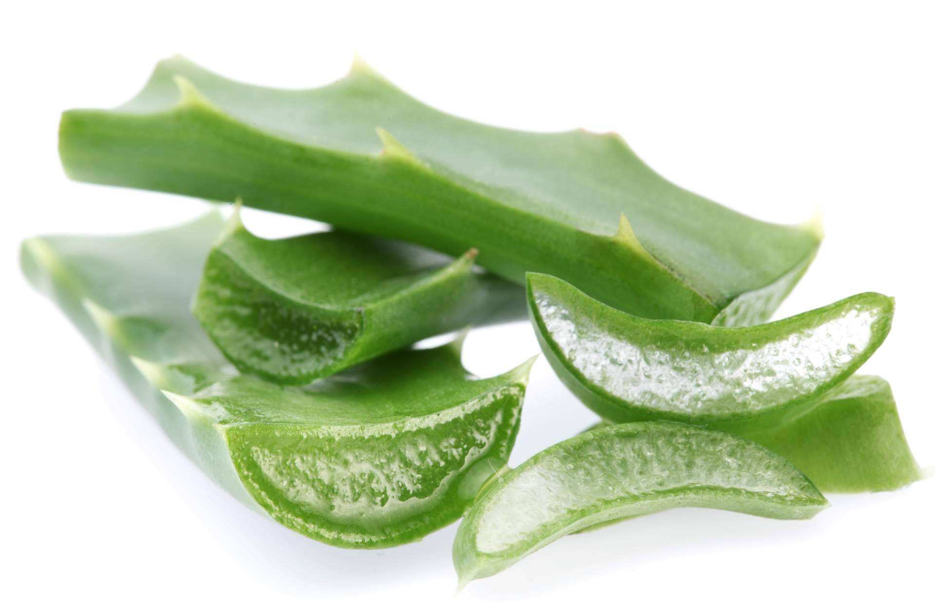 Cosmonatura, una tienda online de cosmética natural especializada en el aloe vera
