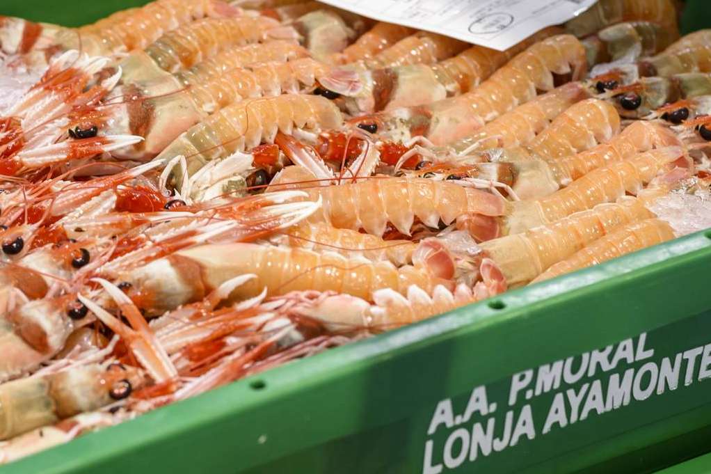 La tienda Lonja de Ayamonte expone los principales beneficios de consumir cigalas