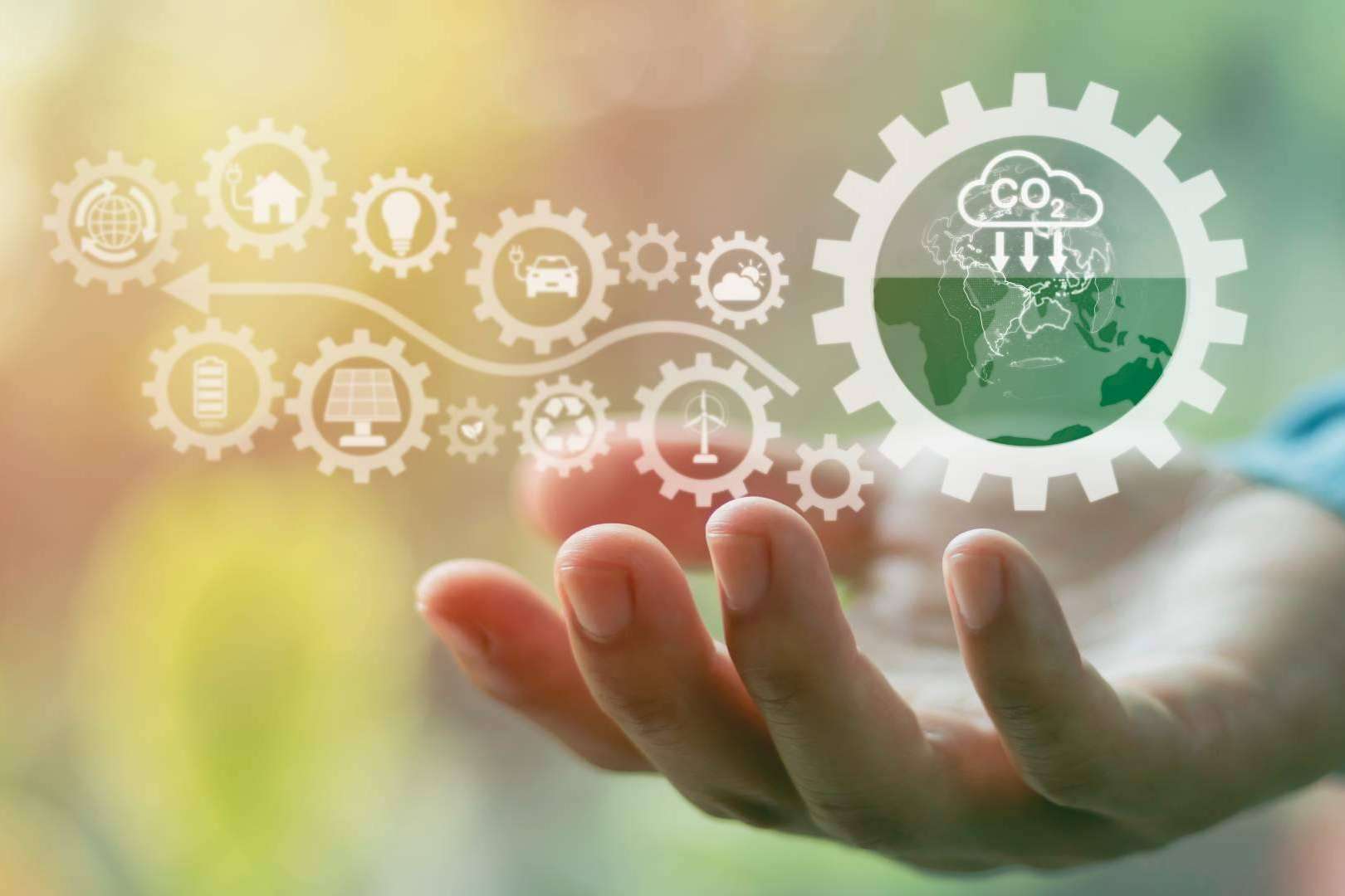 Comprar bonos de carbono en el marketplace ClimateTrade