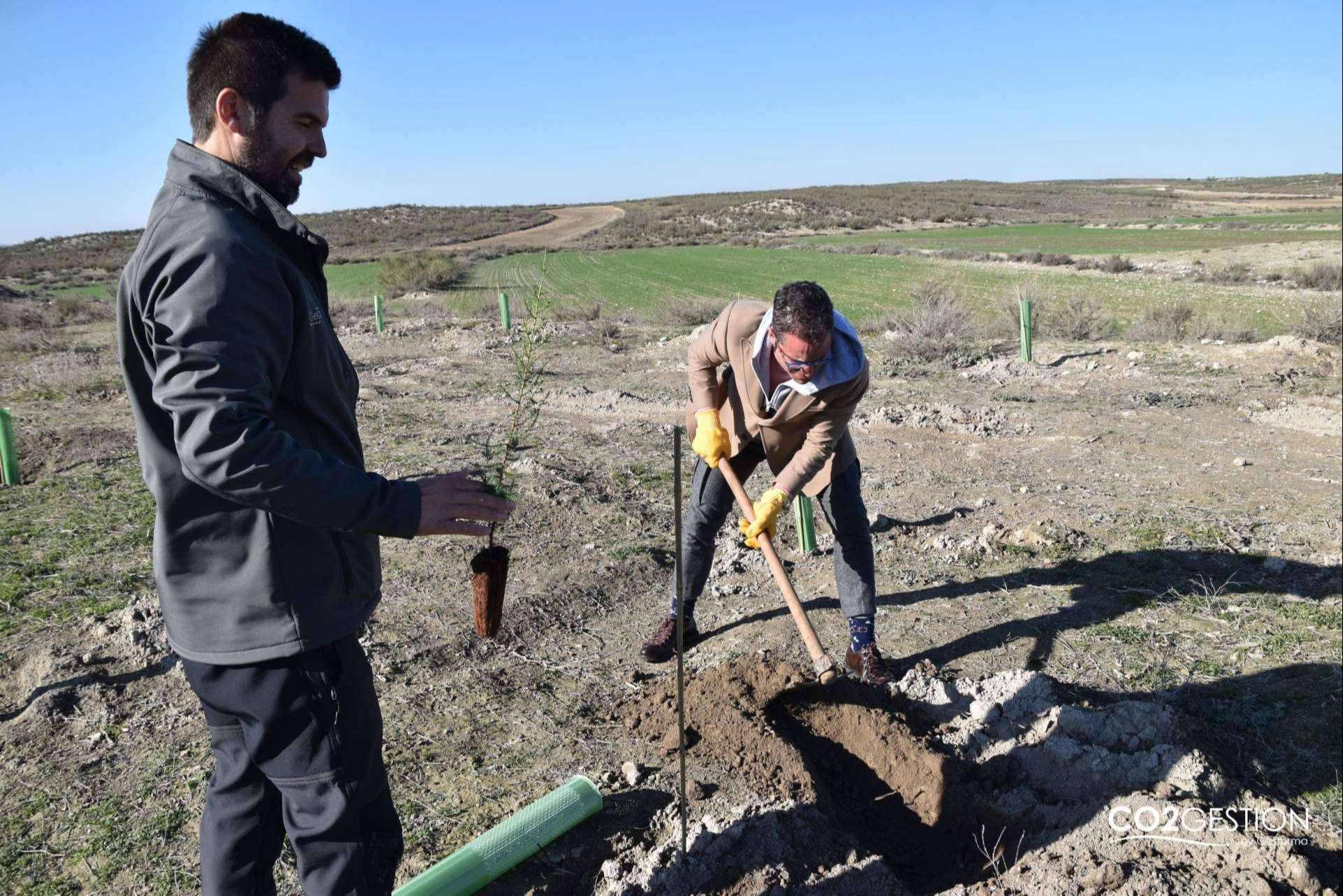 ICT Ibérica y Fundación Alcoraz plantan un nuevo bosque en Zaragoza