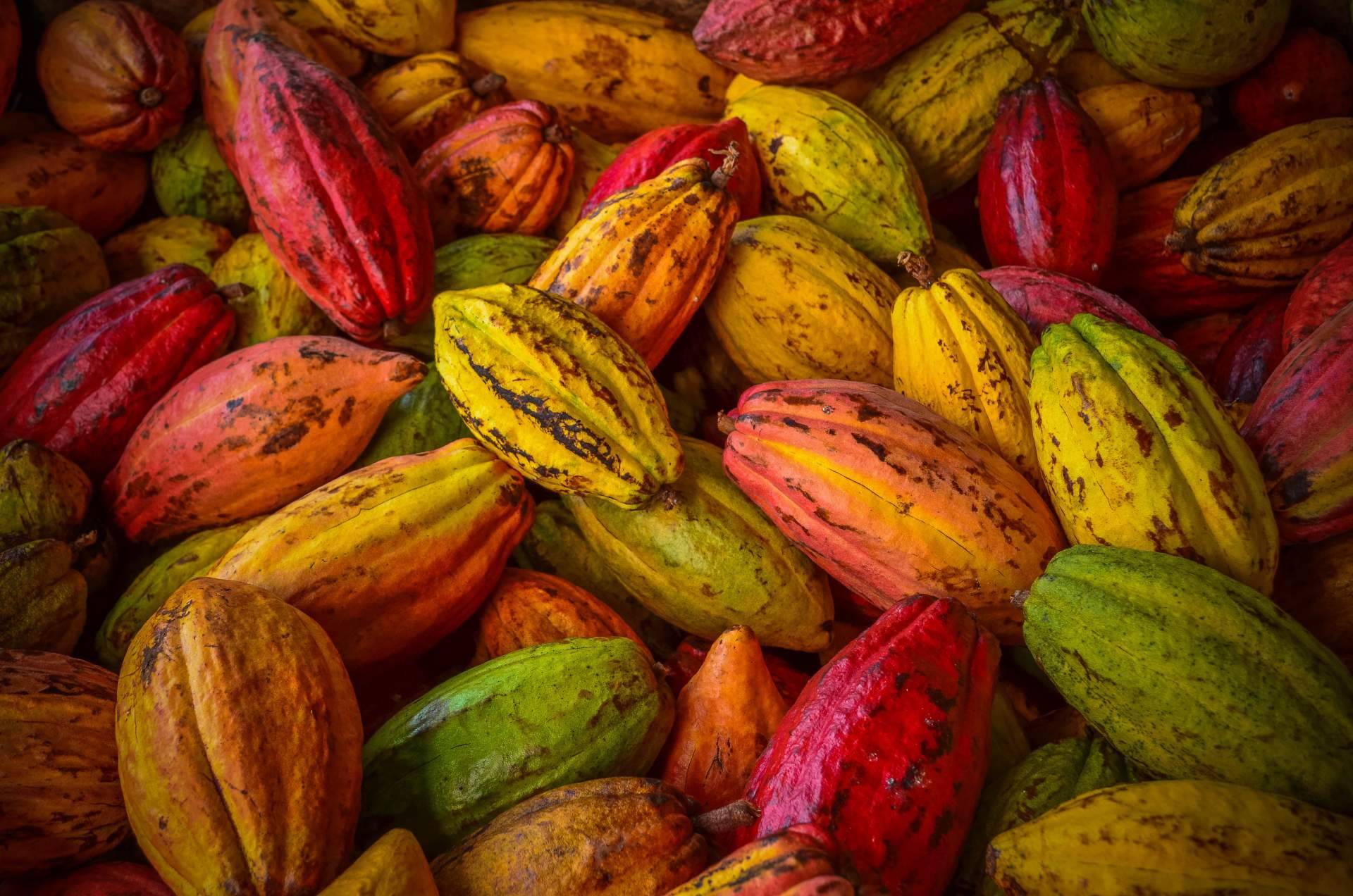 La historia del cacao, de método de pago en siglos pasados a token en la actualidad