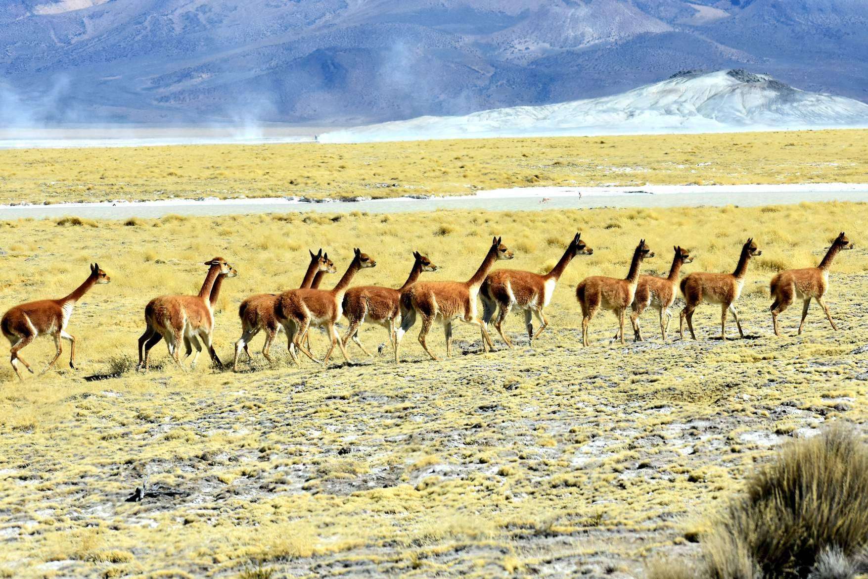 Descubrir los rincones más impresionantes de Chile, con Mayuru Tour