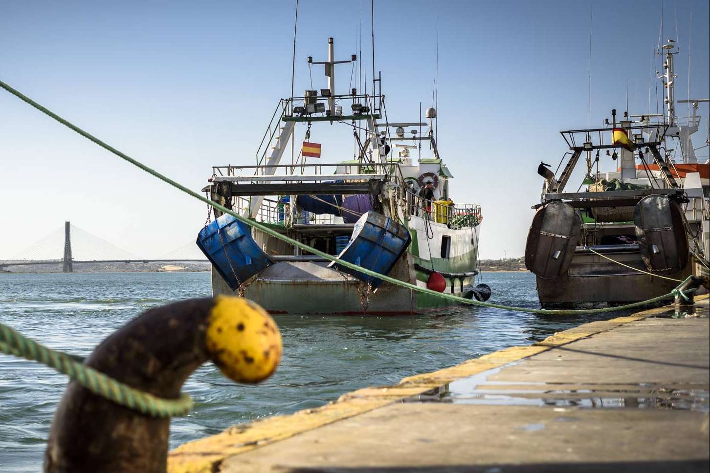 Venta de pescados y mariscos frescos con Lonja de Ayamonte
