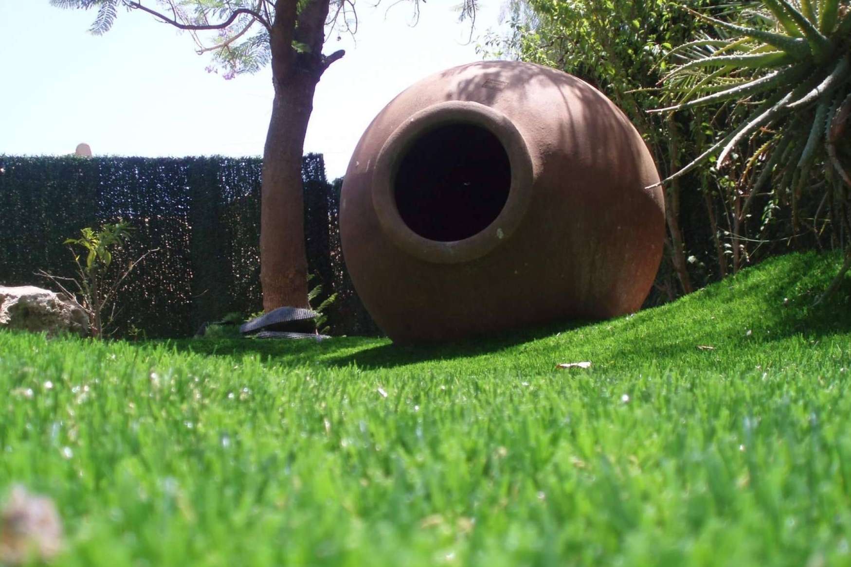 ¿Cuáles son los beneficios de tener un césped artificial?, según Albergrass