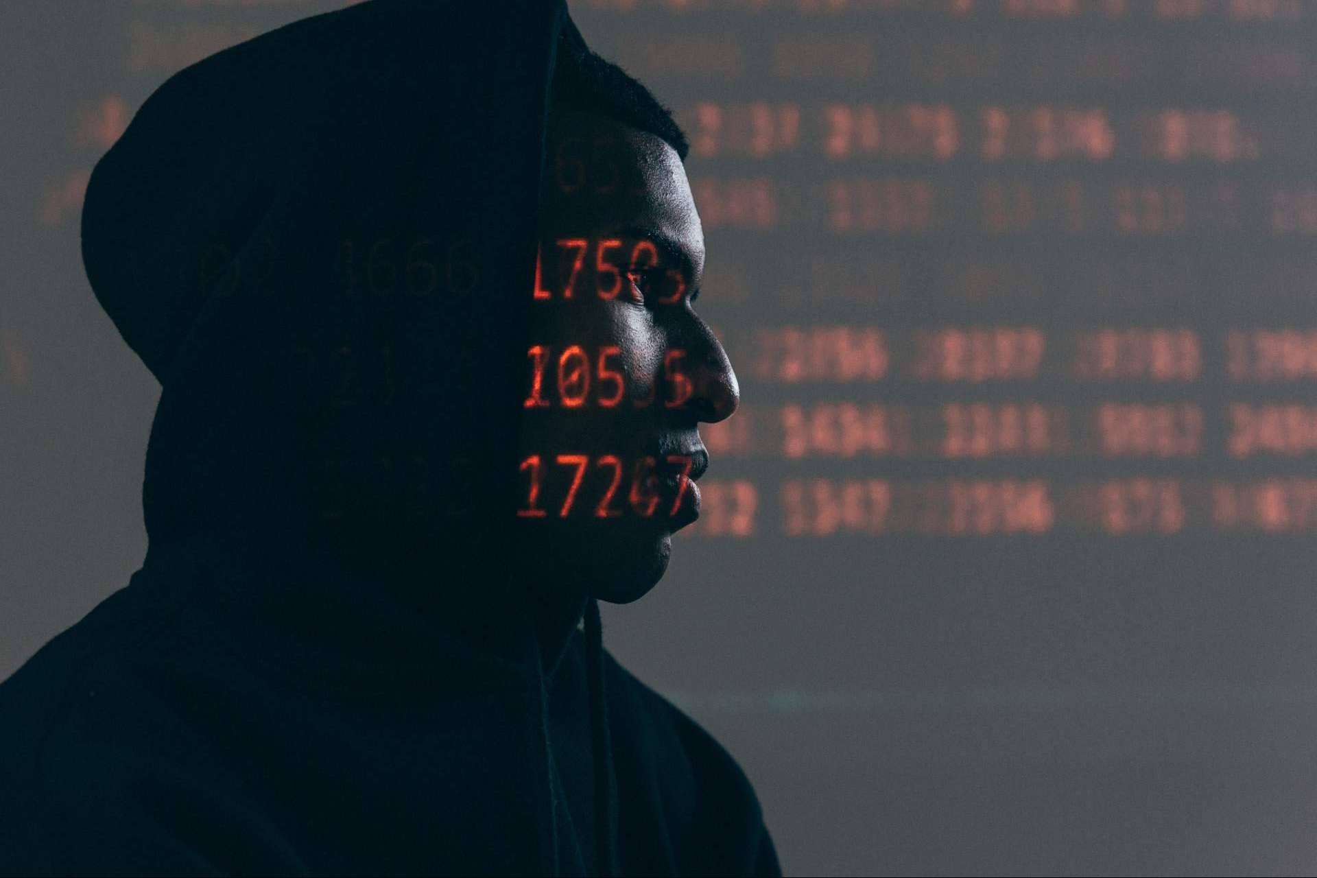 Cómo se empieza a aprender ciberseguridad desde cero con Coldd Security