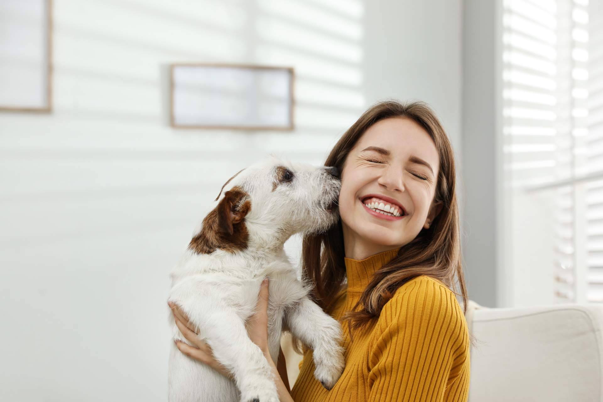 Todo acerca de la nueva Ley de Bienestar Animal si se tiene una mascota
