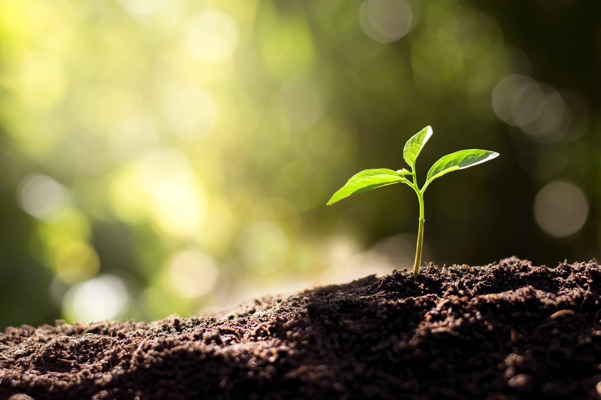 La plataforma especialista en noticias sobre sustentabilidad, Noticias Ambientales