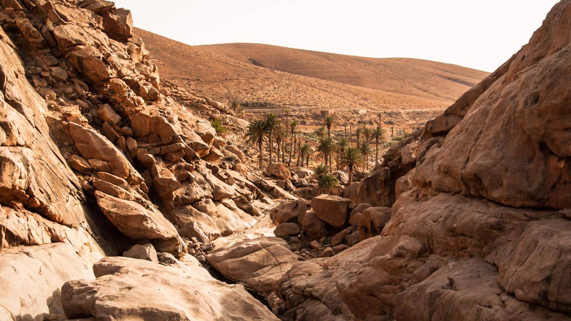 Actividades en Fuerteventura de la mano de Excursión Center Balcón Canario