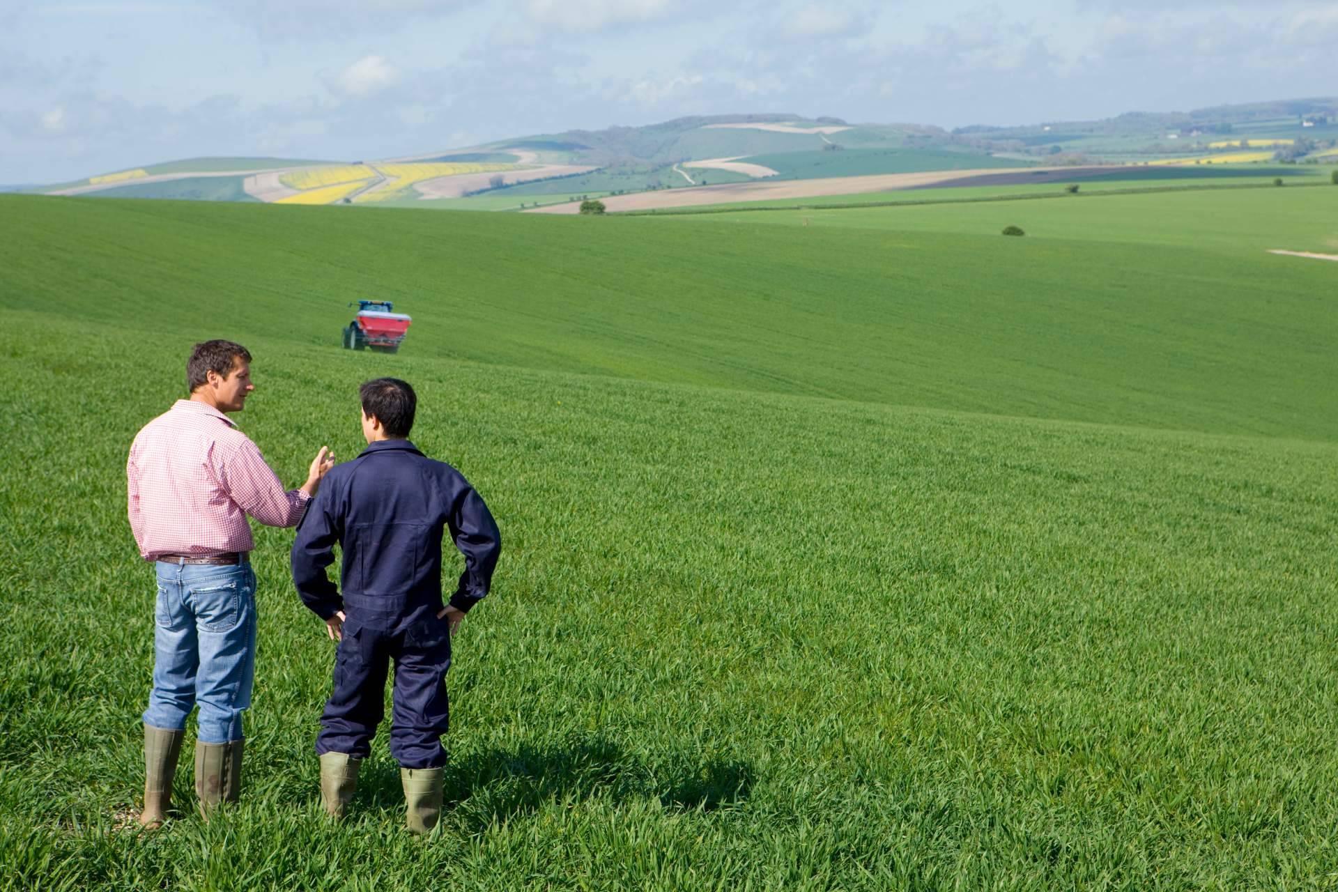 Fitovademécum, la solución para cumplir con la legislación en el uso de los productos fitosanitarios en el campo