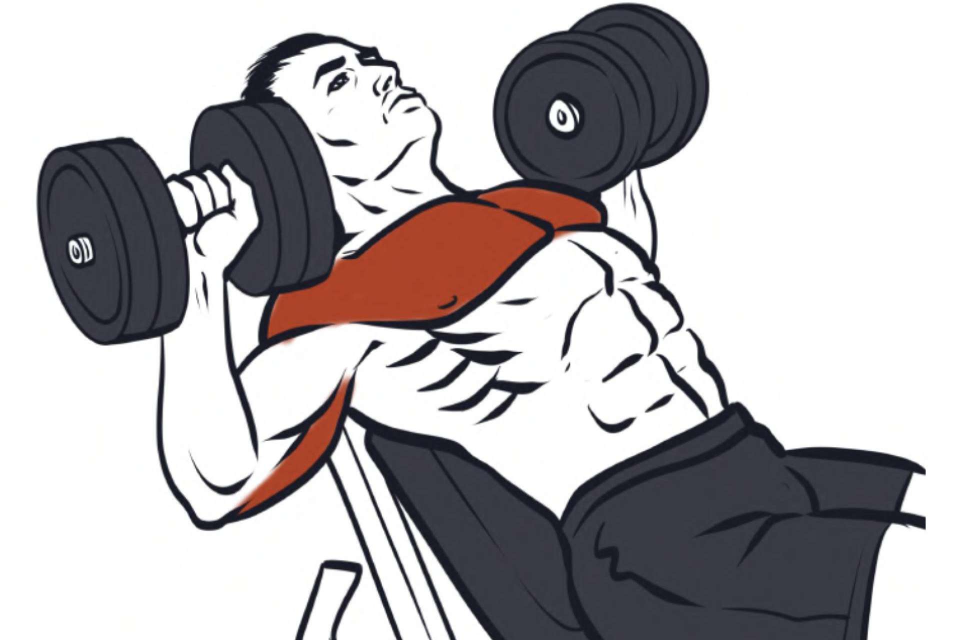 ¿Cómo potenciar el desarrollo del pectoral? Uno de los ejercicios más efectivos para la hipertrofia de pecho, con Sergio M Coach