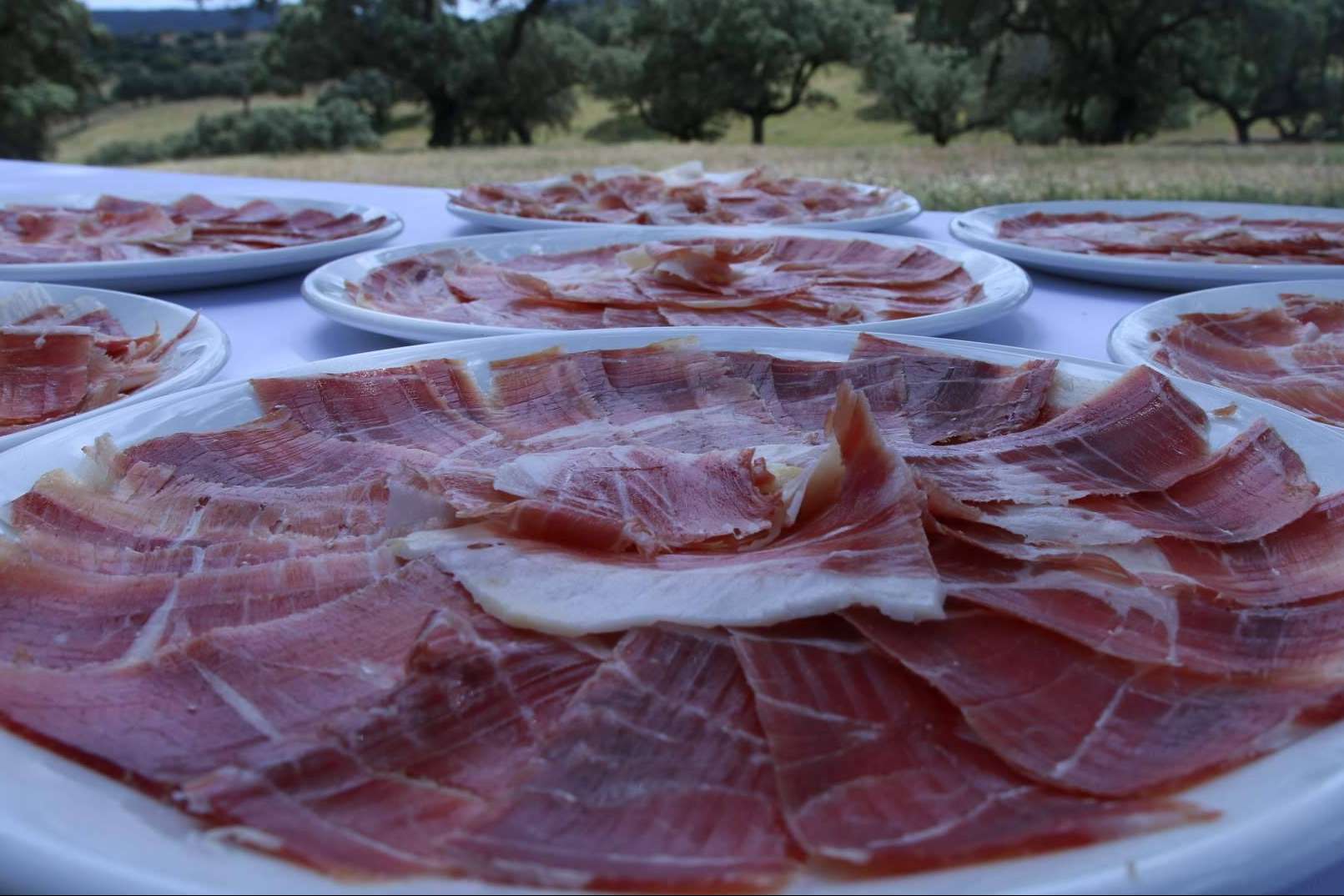 Comprar jamón ibérico por internet, bendita locura con Ibericomio