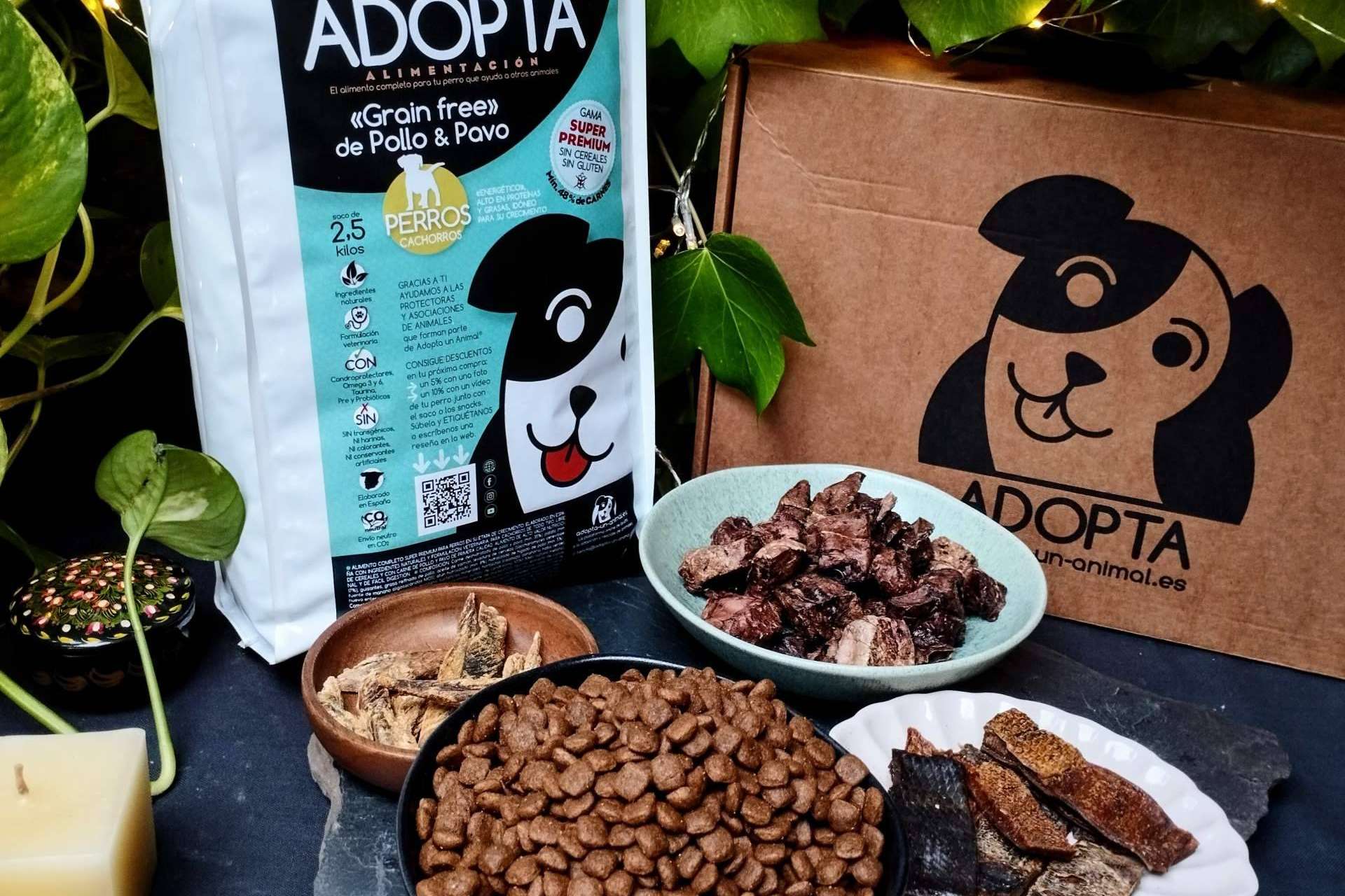 Adopta un Animal sobre las ventajas principales del pienso sin cereales