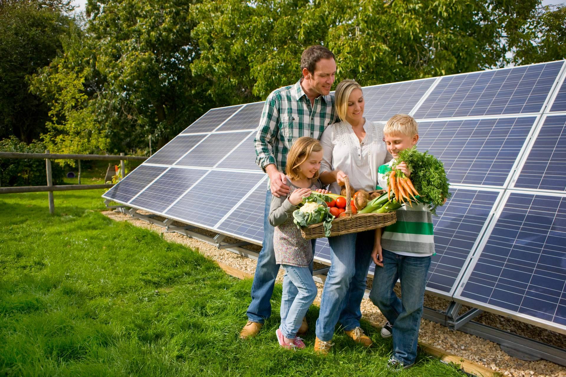 Control de sistemas de energía solar fotovoltaica, de la mano de Made in Málaga