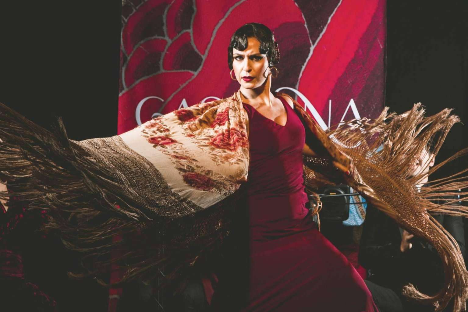 Tablao Flamenco Casa Ana, donde el arte flamenco se convierte en magia y emoción en pleno centro de Granada