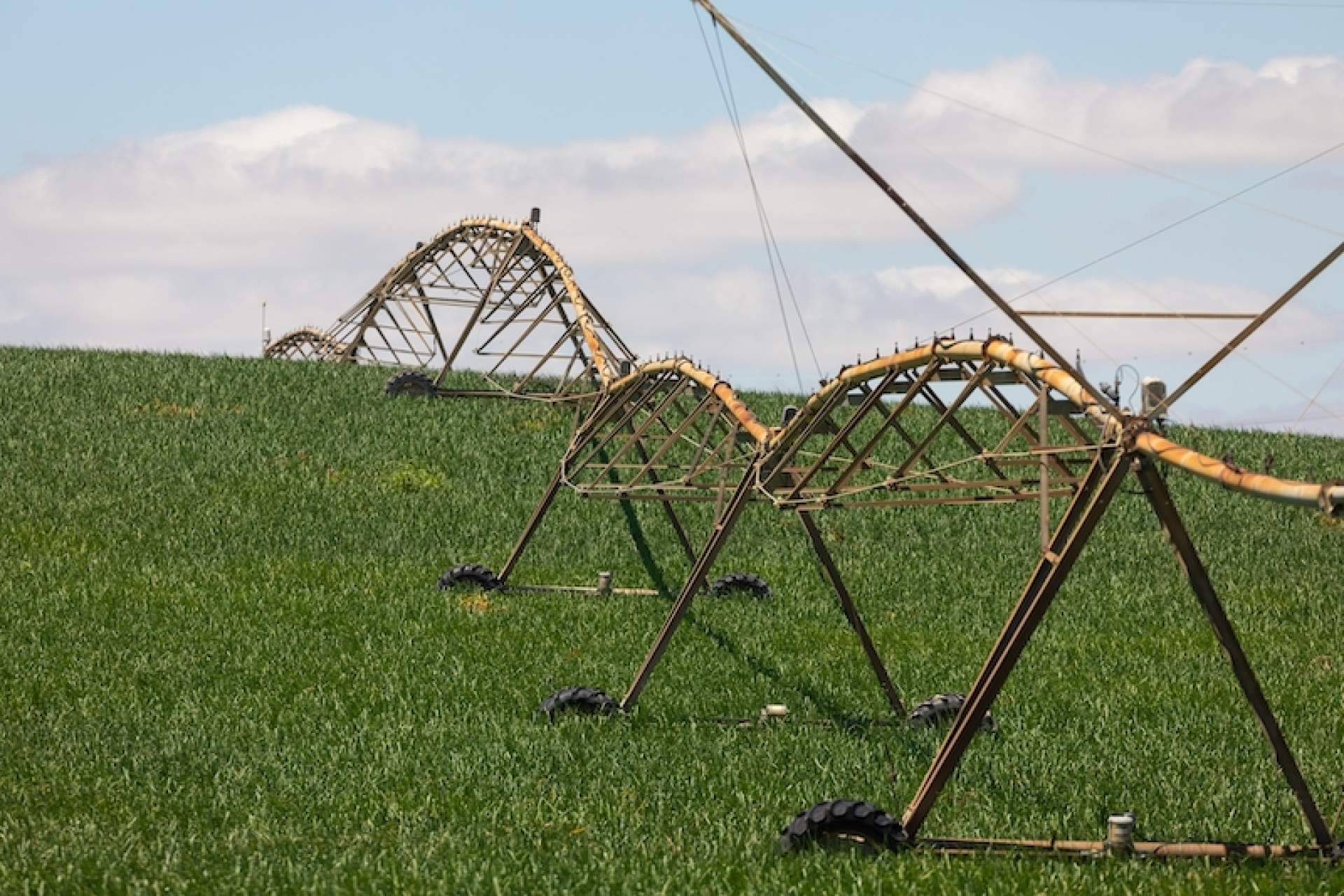 El significado y las características de la agricultura extensiva