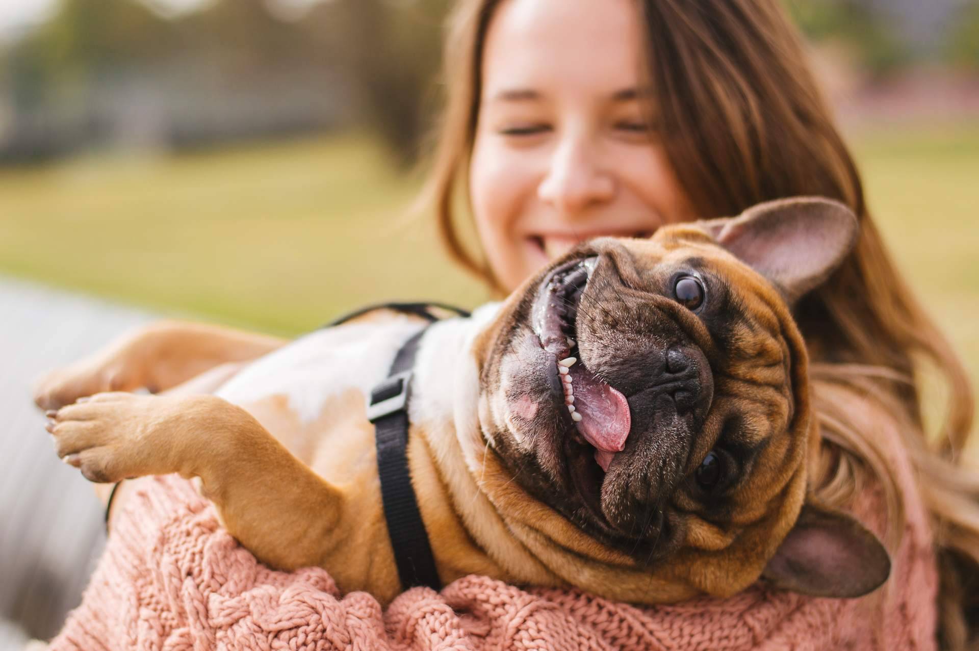 El amor y el adiestramiento son insuficientes para tener el perro que se quiere