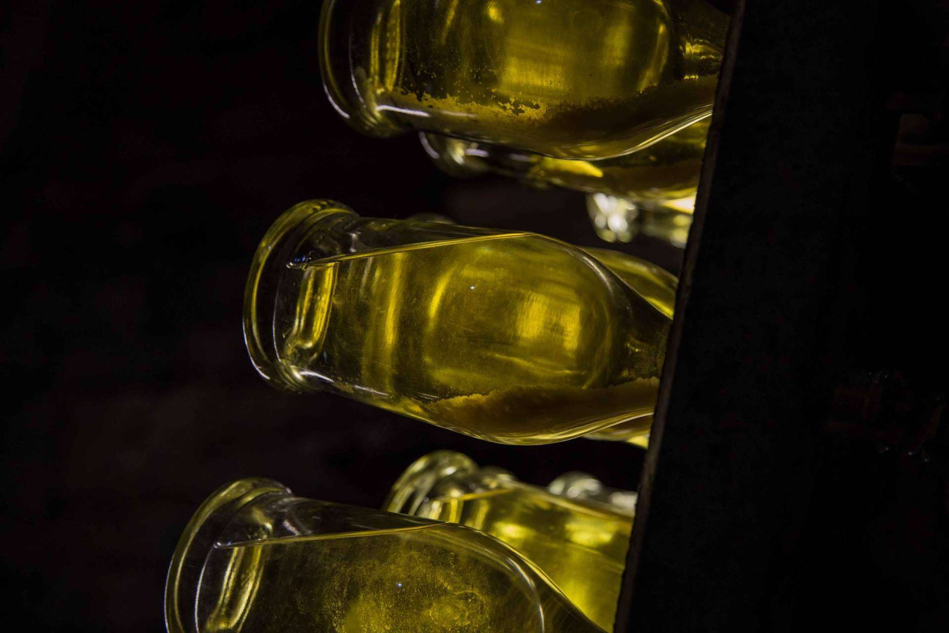 Los vinos ecológicos de Naturalovers Wine; una experiencia libre de químicos muy auténtica