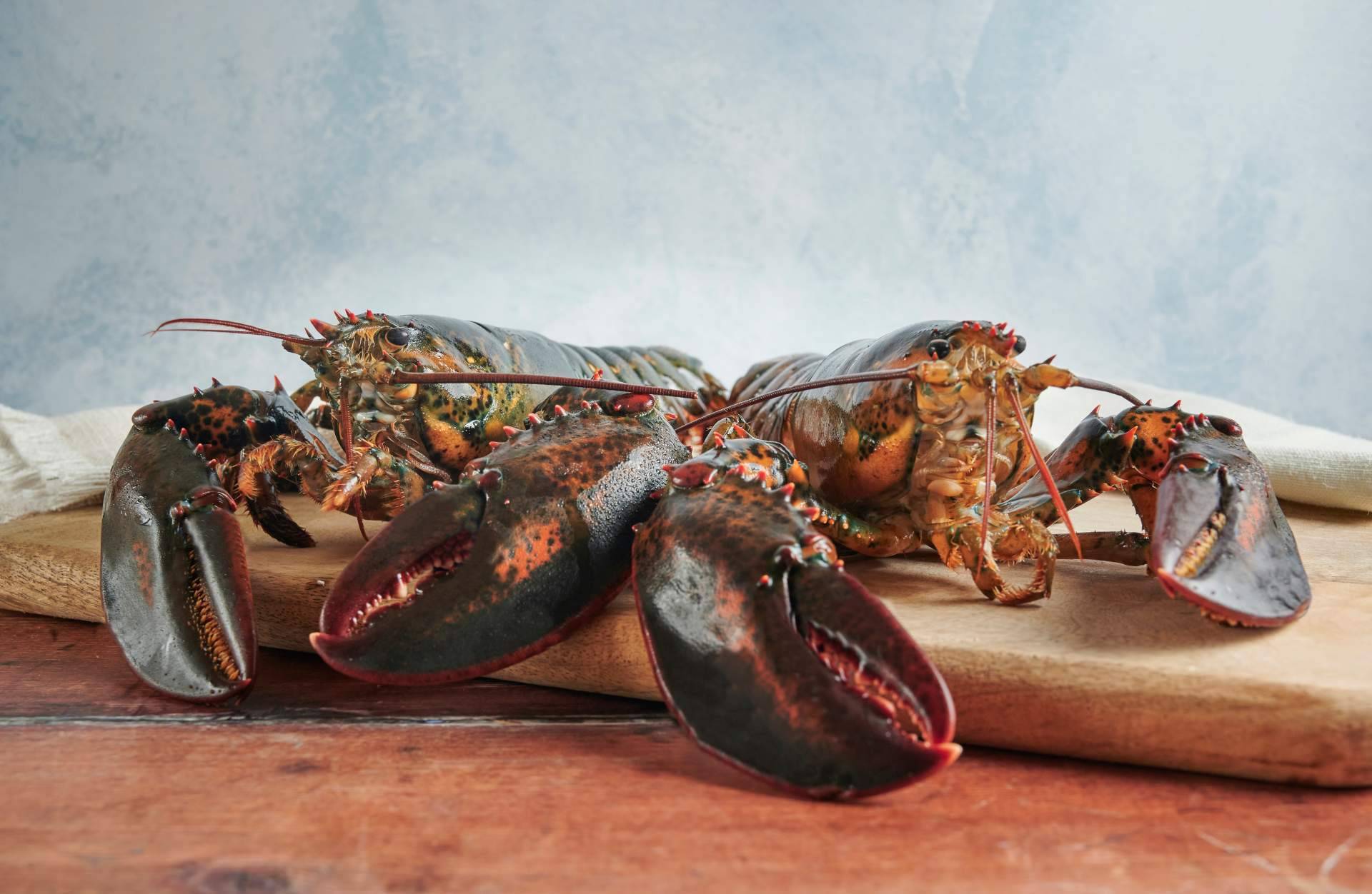 Dónde encontrar bogavante y otros productos del mar de alta calidad, en Pescadería Younes Ceuta